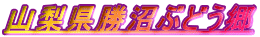 RԂǂ